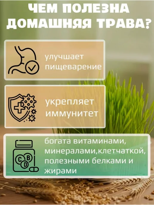 трава для кошек-для проращивания, вариант, фото 2