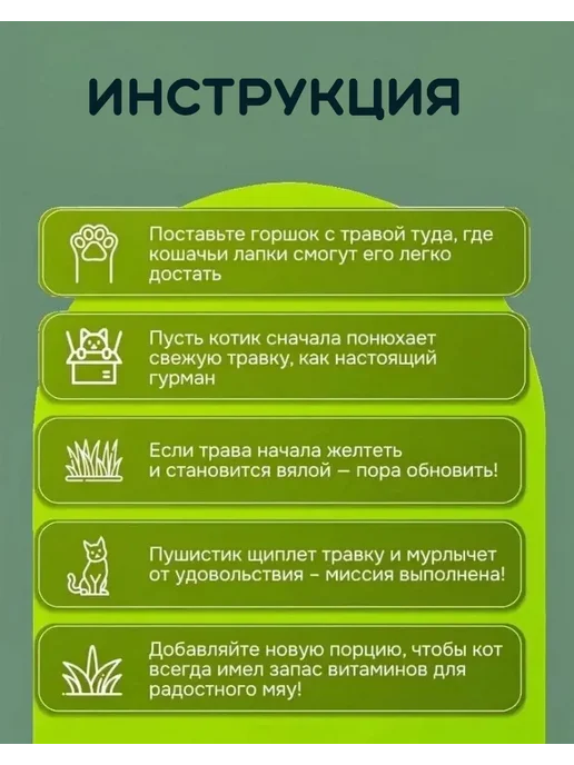трава для кошек-для проращивания, вариант, фото 3