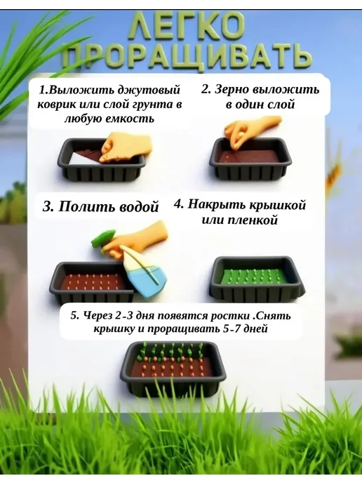 трава для кошек-для проращивания, вариант, фото 4