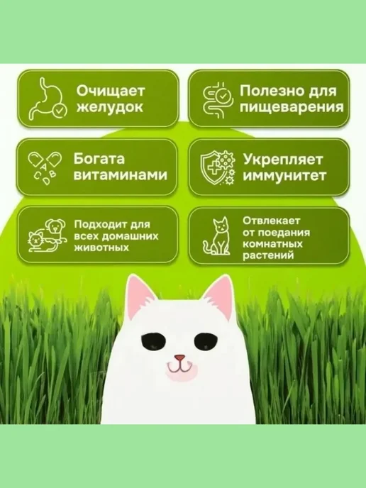 трава для кошек-для проращивания, вариант, фото 6