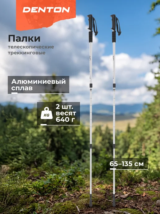 Denton Палки треккинговые, серый