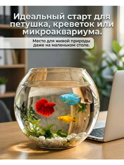 СТЕКЛОЗАВОД НЕМАН Аквариум для рыбок стеклянный 2,8 литра, белый, фото 3