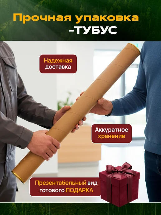 IVJ print Карта России на стену с новыми территориями политическая, России с флагами настенная, фото 8