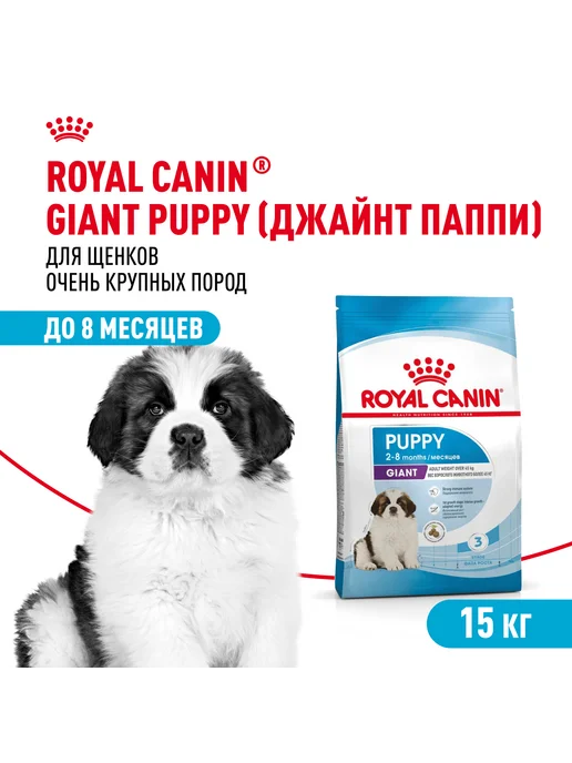Сухой корм Royal canin Размеров Джайнт для собак, крупные, щенки, 15 кг