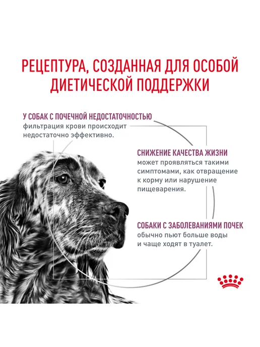 Сухой корм Royal canin Почек Ренал для собак, взрослые, 14 кг, фото 4