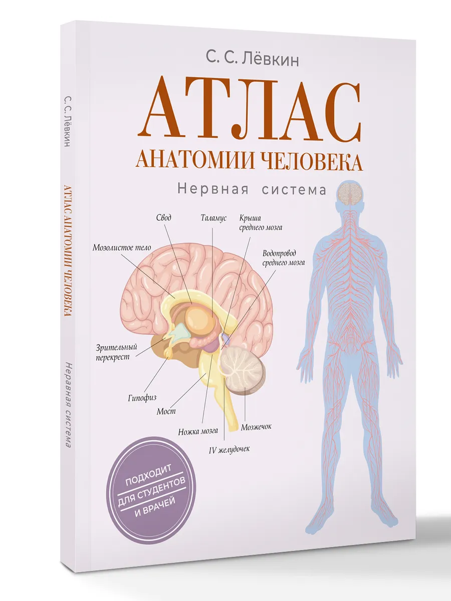 Атлас анатомии человека. Нервная система