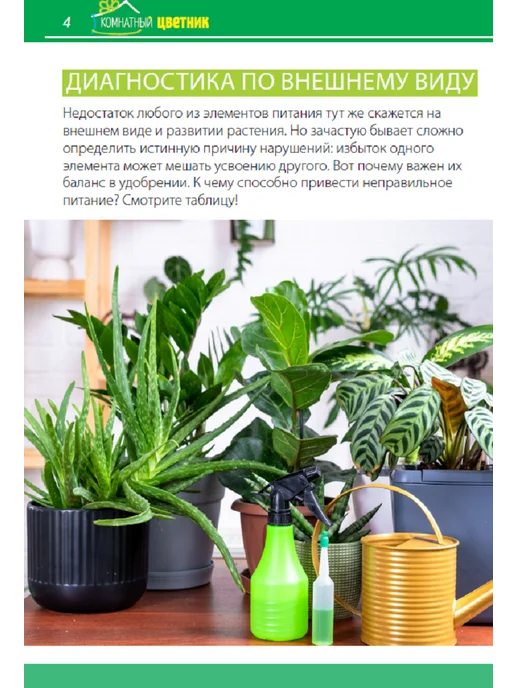 Цветок журнал "Комнатный цветник". Подкормка растений, вариант, фото 4