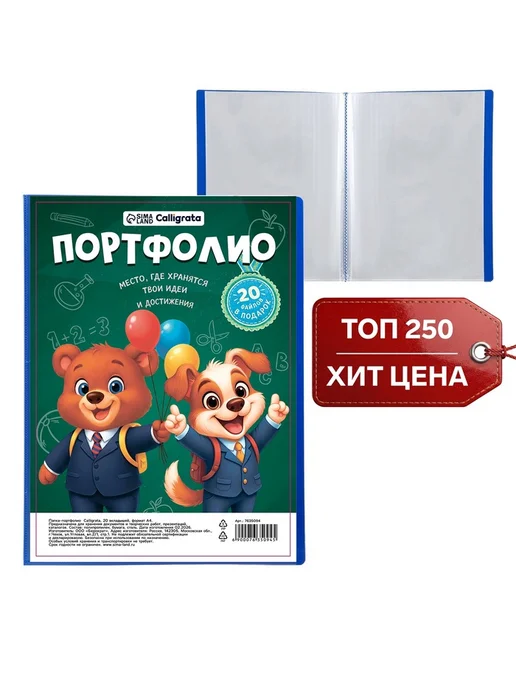 Папка-портфолио пластиковая А4, вариант, фото 2