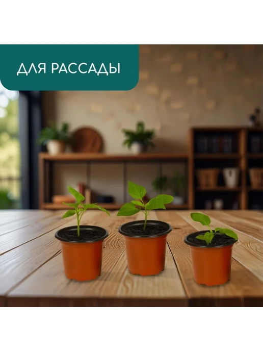 Yamle Горшок для рассады 175 мл, терракотовый, 8.5х7.5 см, 40 шт, 8.5x7.5 см, 175 мл, фото 3