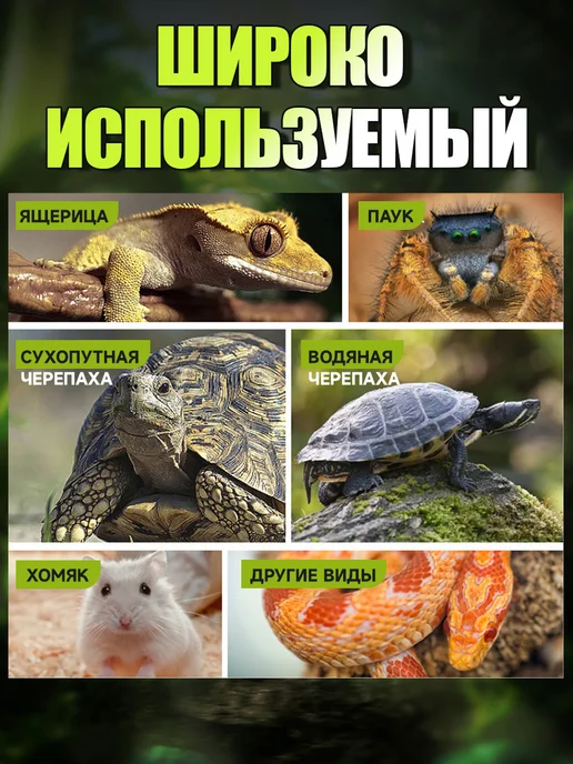 Кормушка‑поилка 2в1 для террариума черепах и ящериц, зеленый, фото 7