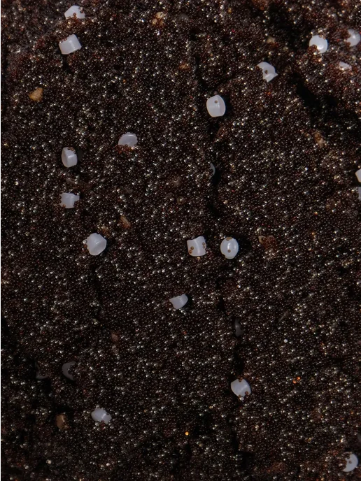 Waterlux загрузка фильтра для воды B30 8,34 л, фильтрующая засыпка, 8,34 л, фото 6