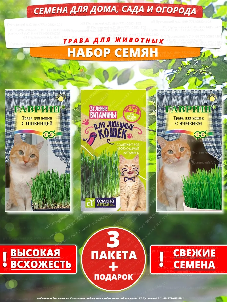 Семена трава для животных для дома сада посадки