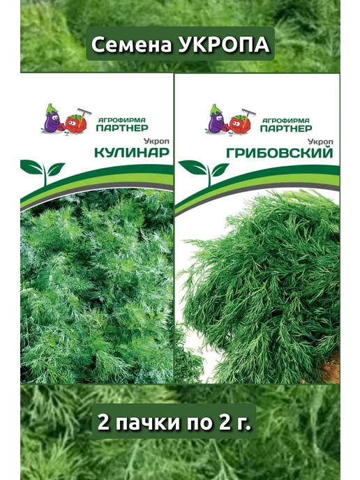 Агрофирма Партнер Семена укропа Кулинар, Грибовский, 2 шт