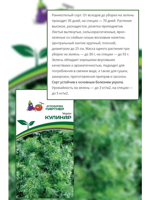 Агрофирма Партнер Семена укропа Кулинар, Грибовский, 2 шт, фото 3