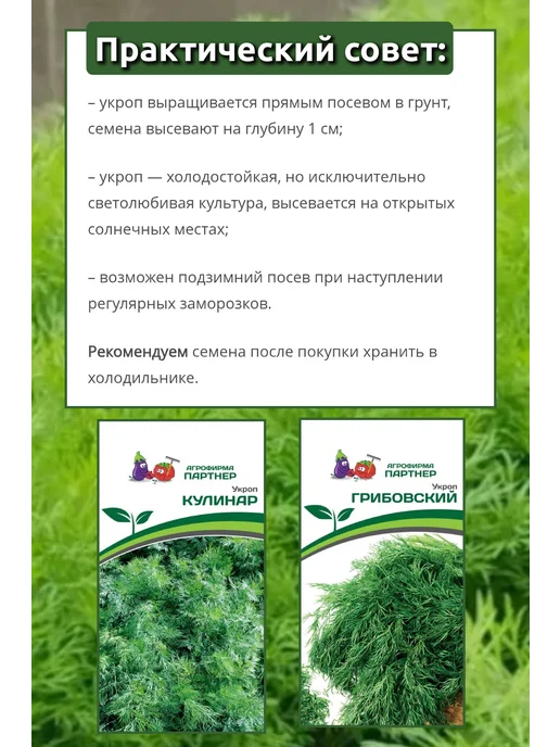 Агрофирма Партнер Семена укропа Кулинар, Грибовский, 2 шт, фото 4
