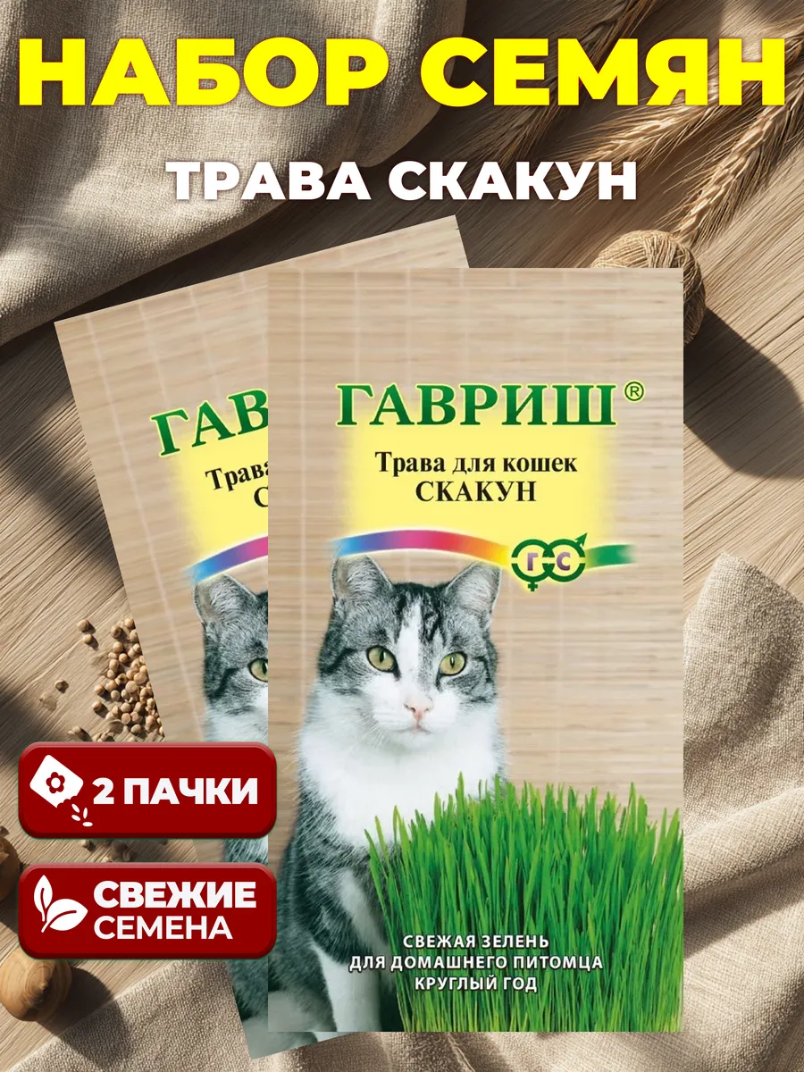 Семена Трава для кошек – Лакомство для питомцев