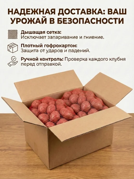 Картофель семенной на посадку сорт Аляска, 2 кг, 2 кг, фото 5