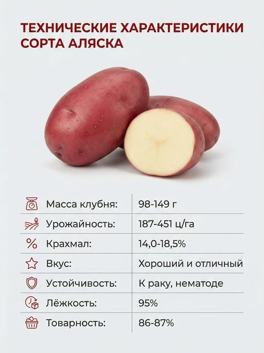 Картофель семенной на посадку сорт Аляска, 2 кг, 2 кг, фото 7