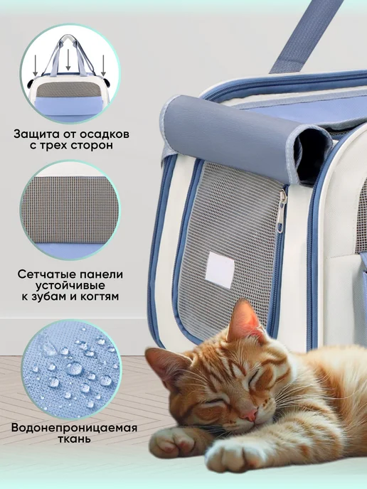Petsvy Переноска для кошек и собак, голубой, фото 3