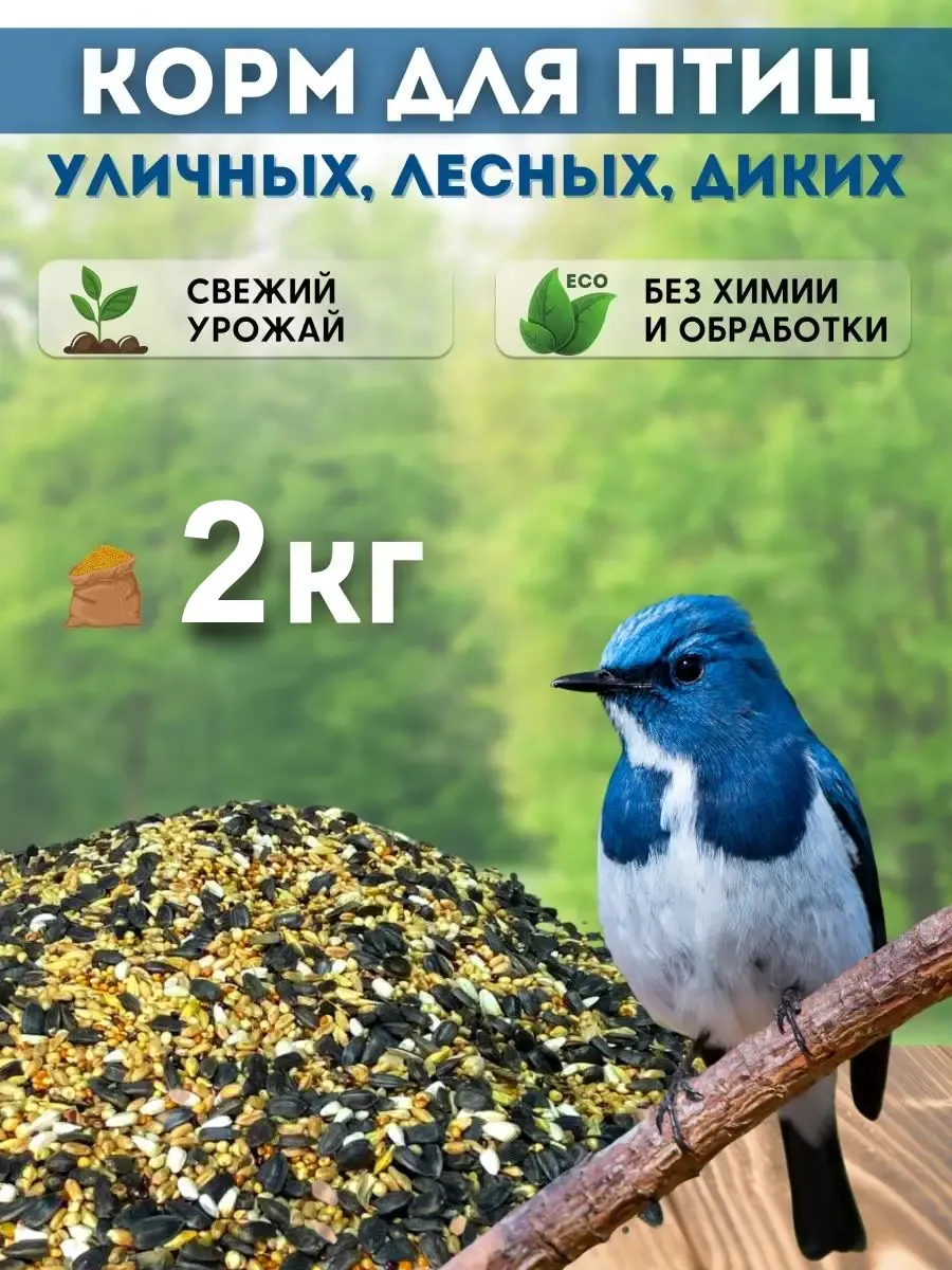 Сухой корм для птиц уличных парковых в кормушку на окно 2кг