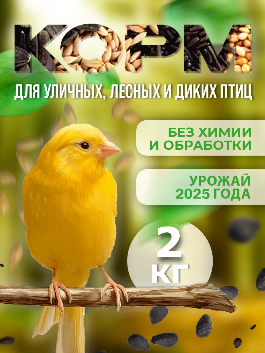 Сухой корм для птиц уличных парковых в кормушку 2кг