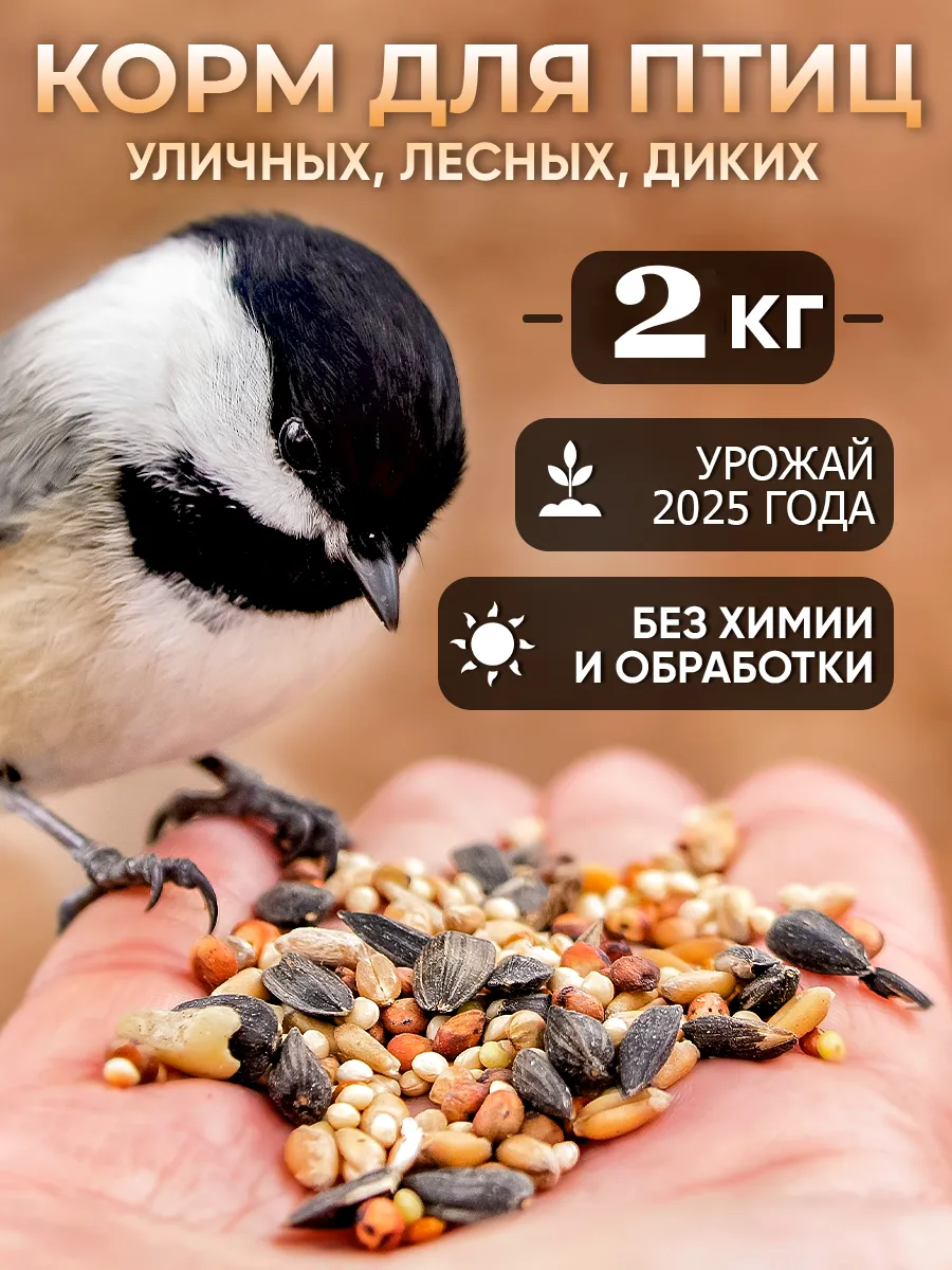 Сухой корм для птиц уличных парковых в кормушку 2кг