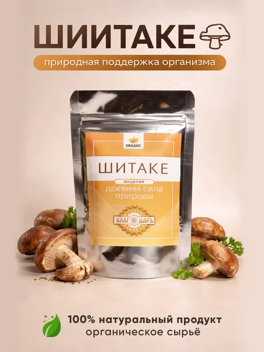 Шиитаке мицелий, вариант, фото 2