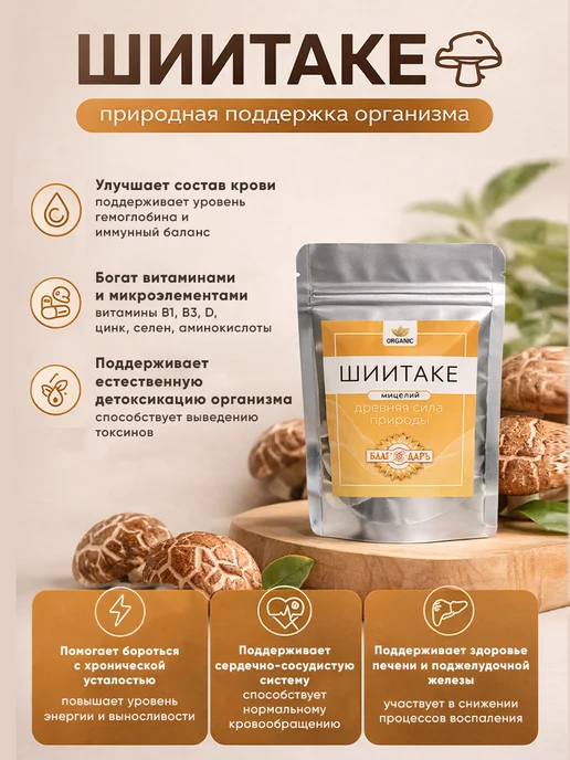 Шиитаке мицелий, вариант, фото 3