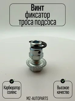 Винт фиксатор троса подсоса карбюратора солекс