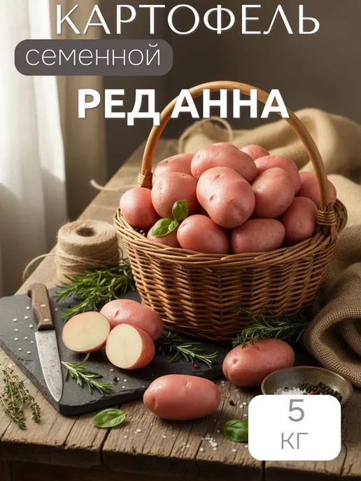 Семенной картофель на посадку Ред Анна 5 кг, 5 кг, фото 3