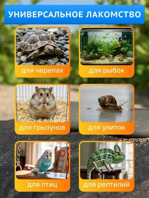 Крупный Гаммарус цельная тушка для черепах, крыс и рыб, в упаковке 420 г, фото 2