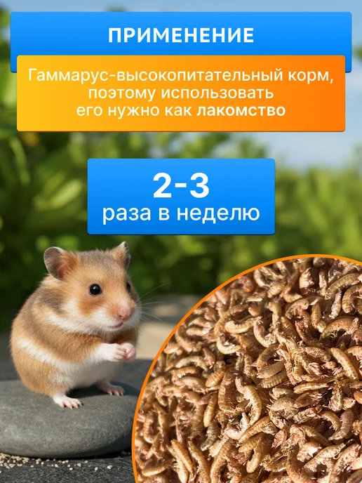 Крупный Гаммарус цельная тушка для черепах, крыс и рыб, в упаковке 420 г, фото 4