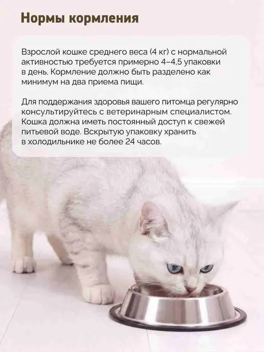 Мираторг Влажный корм для кошек "Рагу с ягненком в желе" 75гр, 75 г, фото 4