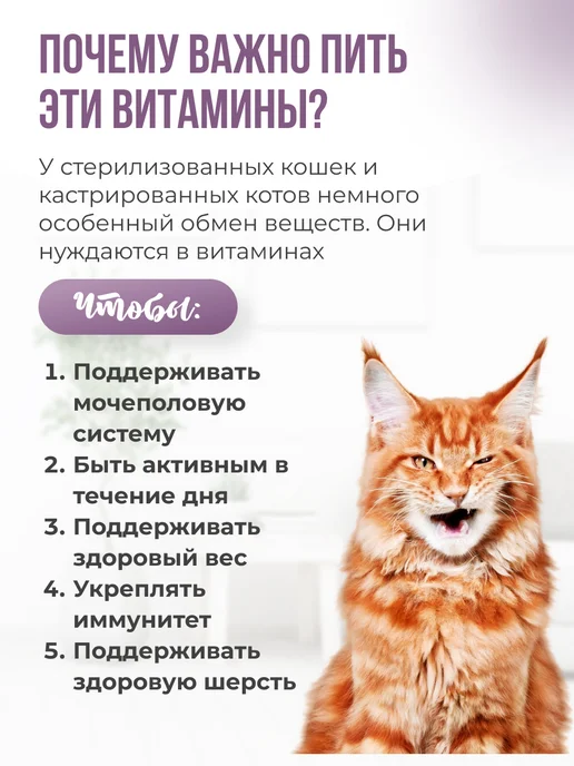 LAYTI Витамины для стерилизованных кошек и кастрированных котов, вариант, фото 2