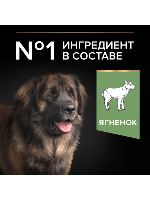 Сухой корм PRO PLAN Digestion По… для собак, взрослые, крупные, чувствительное пищеварение, 14,3 кг, фото 4