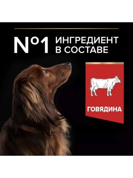 Сухой корм PRO PLAN Duo Delice для собак, взрослые, мелкие, 0,96 кг, фото 6