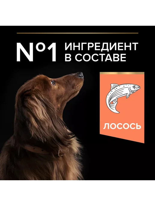 Сухой корм PRO PLAN Skin Карлик… для собак, взрослые, мелкие, чувствительное пищеварение, 0,974 кг, фото 2