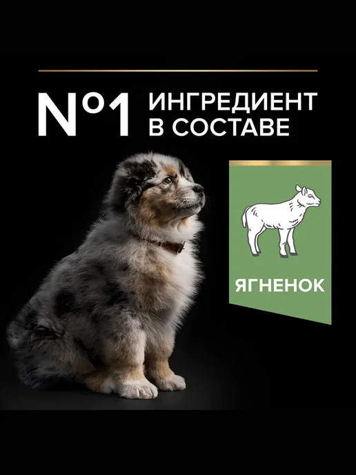 Сухой корм PRO PLAN Digestion Чу… для собак, средние, чувствительное пищеварение, щенки, 1,753 кг, фото 2