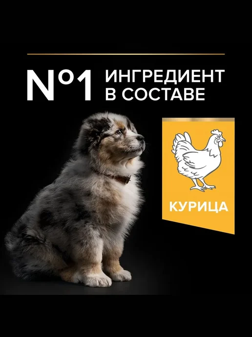 Сухой корм PRO PLAN Healthy Start для собак, средние, щенки, курица, 3,225 кг, фото 2