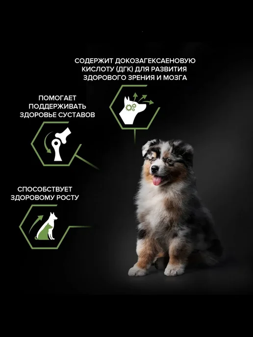 Сухой корм PRO PLAN Healthy Start для собак, средние, щенки, курица, 6,25 кг, фото 4