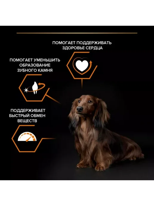 Сухой корм PRO PLAN Everyday Nutrition для собак, взрослые, мелкие, 0,974 кг, фото 4