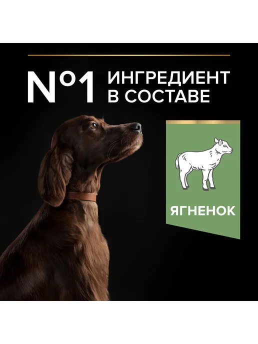 Сухой корм PRO PLAN Digestion По… для собак, взрослые, крупные, чувствительное пищеварение, 14,32 кг, фото 5