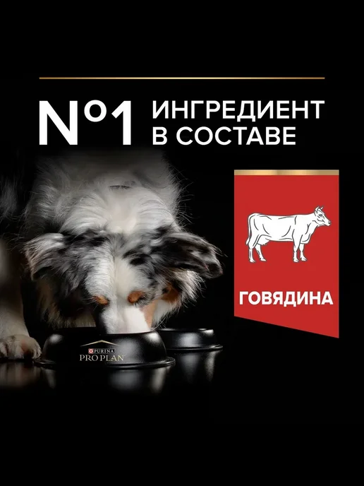 Сухой корм PRO PLAN Duo Delice для собак, взрослые, крупные, средние, 2,75 кг, фото 2