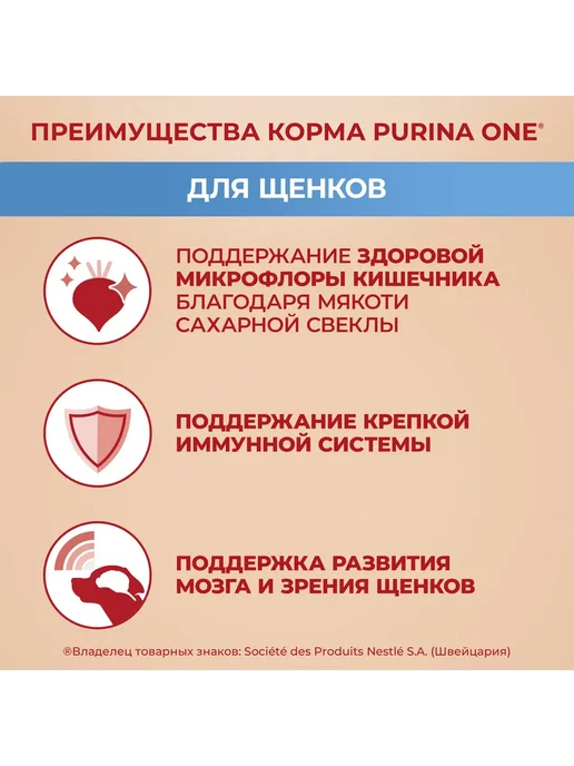 Сухой корм PURINA ONE Ри… для собак, крупные, средние, щенки, курица, 0,95 кг, фото 4