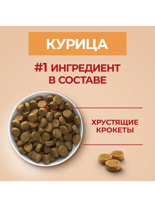 Сухой корм PURINA ONE Ри… для собак, крупные, средние, щенки, курица, 0,95 кг, фото 5