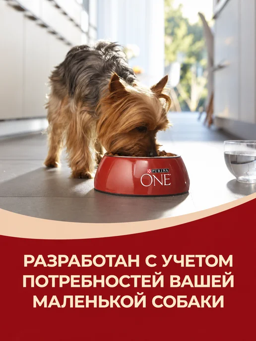 Сухой корм PURINA ONE Рurina для собак, мелкие, курица, 1,5 кг, фото 5