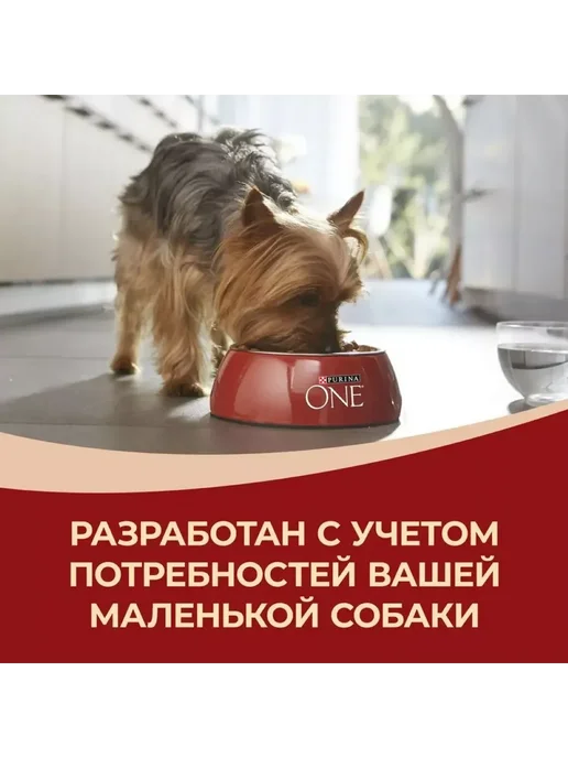 Сухой корм PURINA ONE Активных для собак, мелкие, курица, 3,225 кг, фото 6