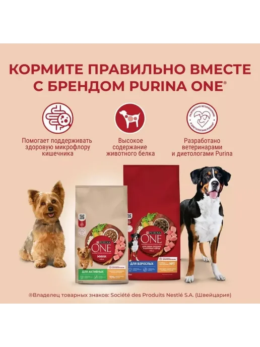 Сухой корм PURINA ONE Активных для собак, мелкие, курица, 3,225 кг, фото 7
