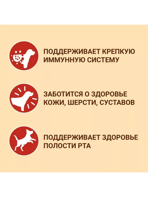 Сухой корм PURINA ONE Кури… для собак, взрослые, крупные, средние, 10,4 кг, фото 5