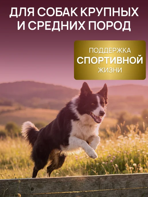 Сухой корм Bisko для собак, говядина, 15 кг, фото 2